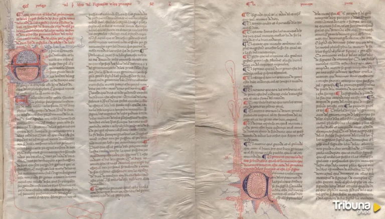 20260318121354_caratula